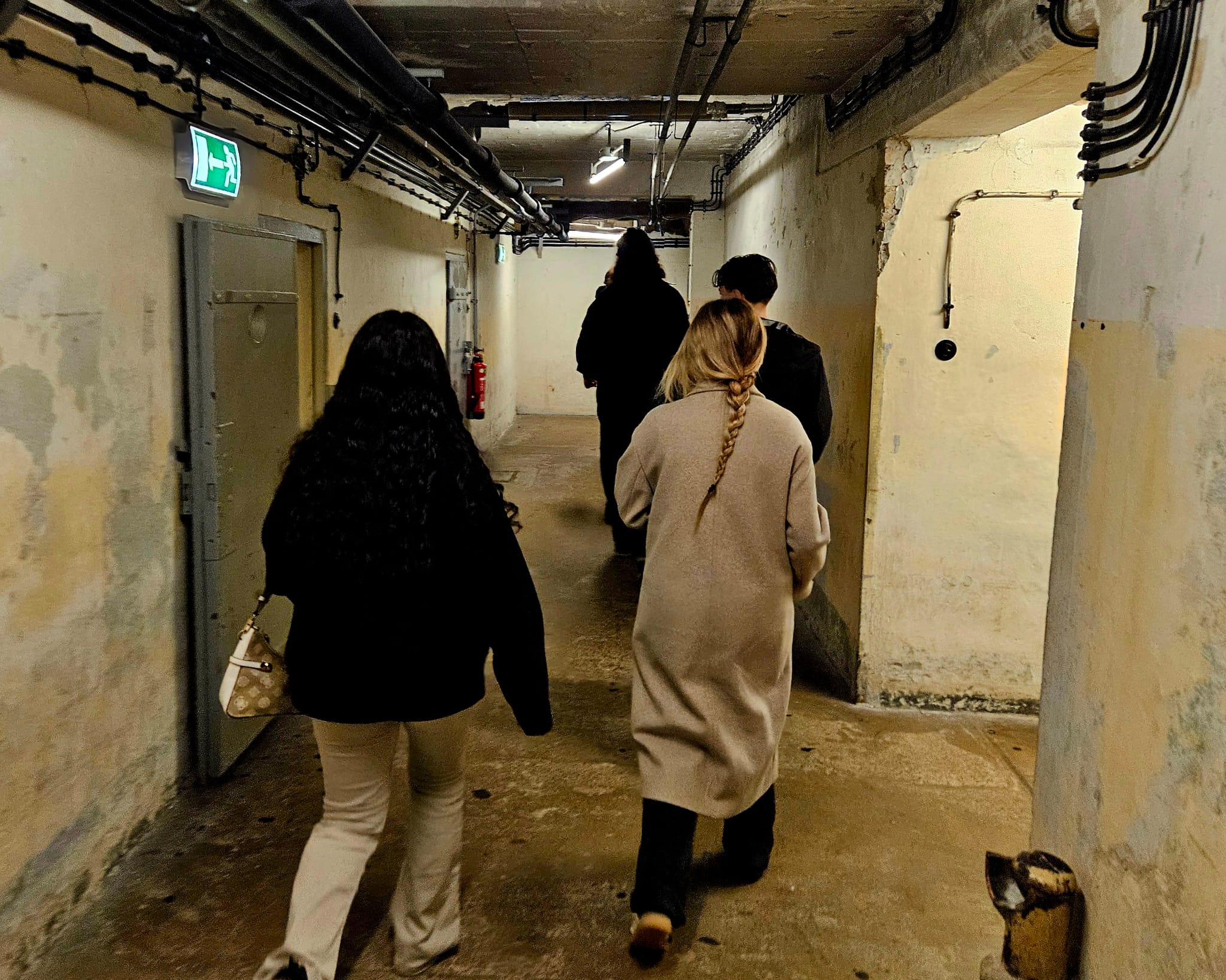 Ber 20