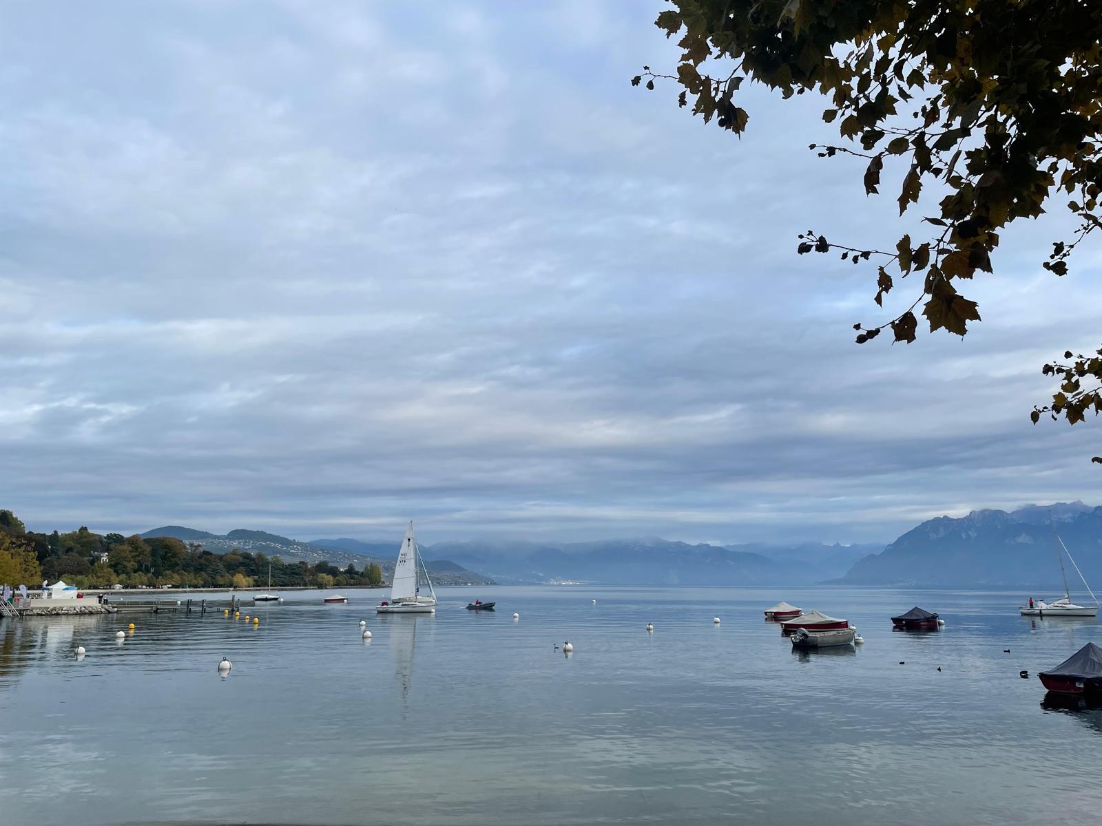 Nyon 2026 14